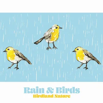 Rain & Birds by Birdland Nature