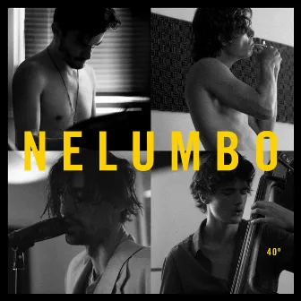 40º by Nelumbo