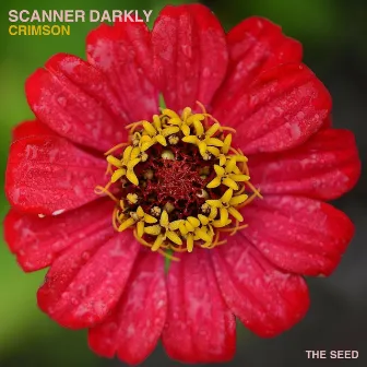 Crimson by Scanner Darkly