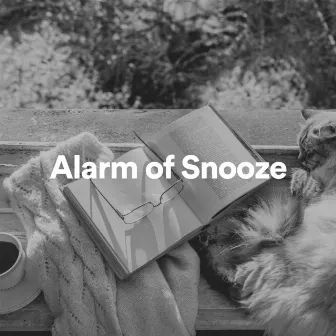 Alarm of Snooze by Unknown Artist