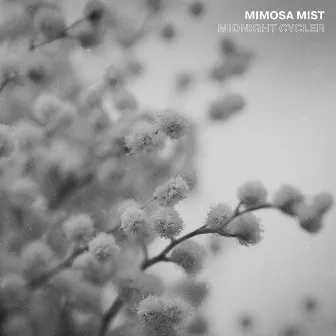 Mimosa Mist by Midnight Cycler