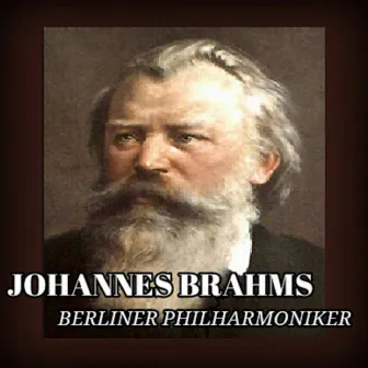 Johannes Brahms by Michel Schwalbé