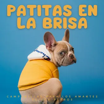 Patitas En La Brisa: Campanillas Para Los Amantes De Los Perros by Perro soledad