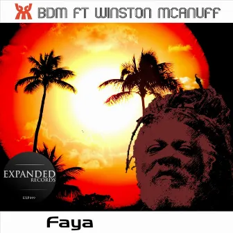 Faya by Bdm