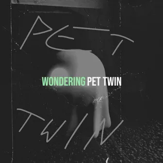 Wondering by Pet Twin