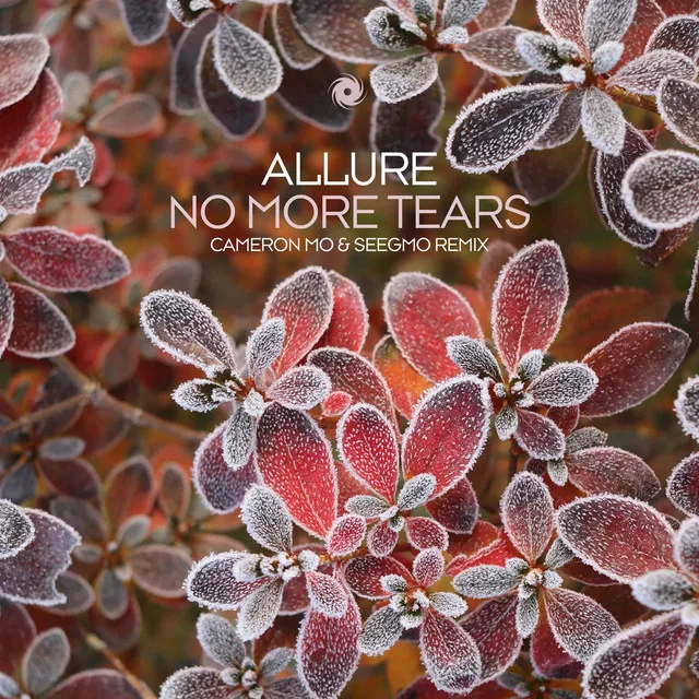 No More Tears - Cameron Mo & Seegmo Remix