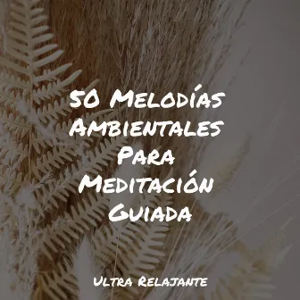 50 Melodías Ambientales Para Meditación Guiada by Escola de Meditação