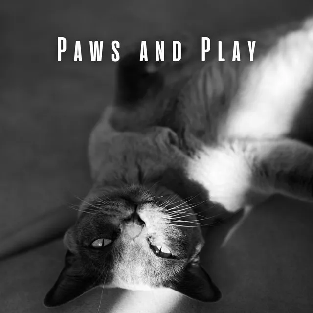 Paws and Play: A Cat's Chill Music