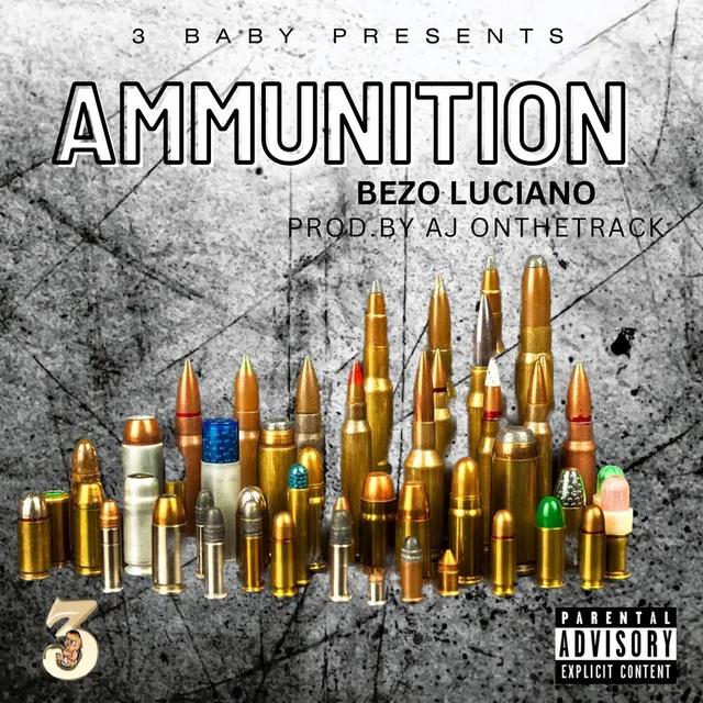 Ammunition