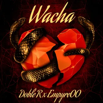 Wacha by Rome