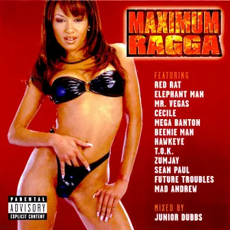 Maximum Ragga, Vol. 1 by Junior Dubbs