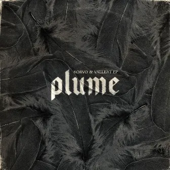 Plume by Vallent