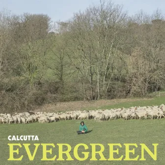 Evergreen by Calcutta 