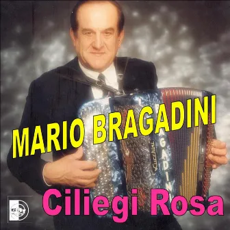 Ciliegi rosa by Mario Bragadini