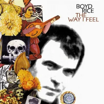 The Way I Feel by Boyd Rice