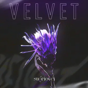 Sugriovei by VELVET