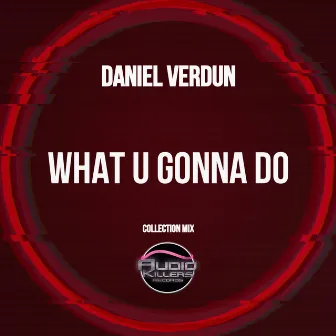 What U Gonna Do (Collection Mix) by Daniel Verdun