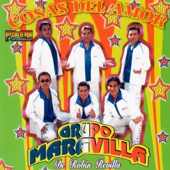 Cosas del Amor by Grupo Maravilla