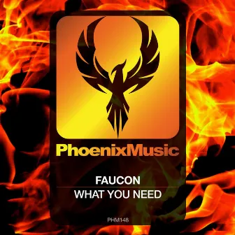 What You Need by Faucon