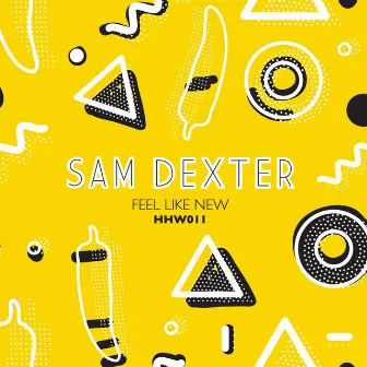 Feel Like New by Sam Dexter