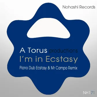 I'm in Ecstasy (Remix) by A Torus