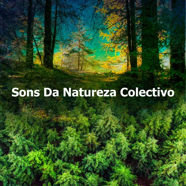 Sons Da Natureza Colectivo