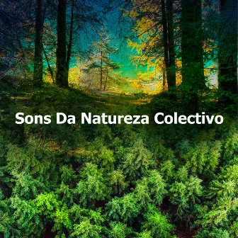 Sons Da Natureza Colectivo by The Outdoor Library