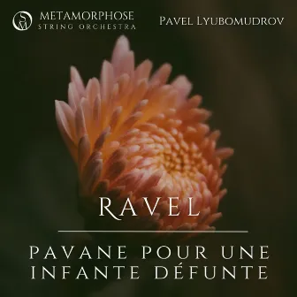 Pavane pour une infante défunte by Pavel Lyubomudrov