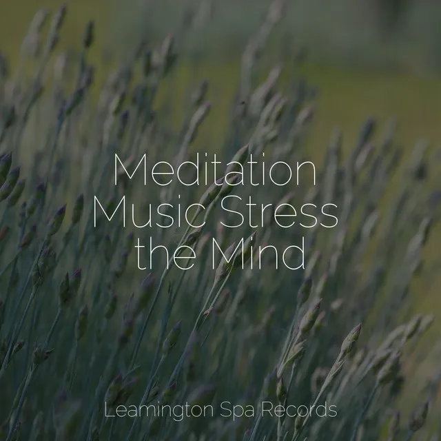 Music for Meditation and Relaxation