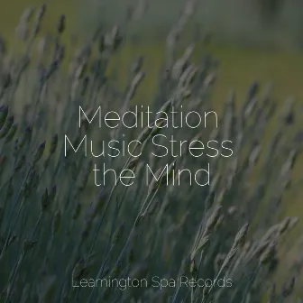 Meditation Music Stress the Mind by Nature Sound Series