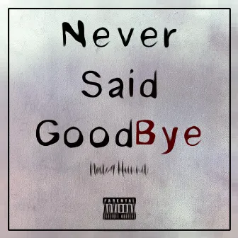 Never Said Goodbye by Nate9Hunnit