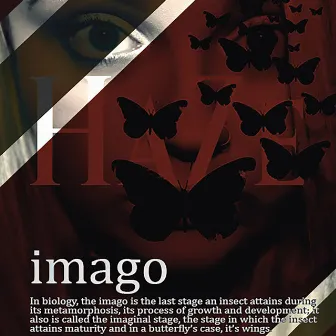 Imago by Haze