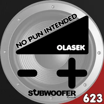 No Pun Intended by Olasek