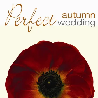 Perfect Autumn Wedding by Charles Medlam