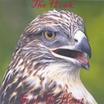 From The Heart by The Hawk