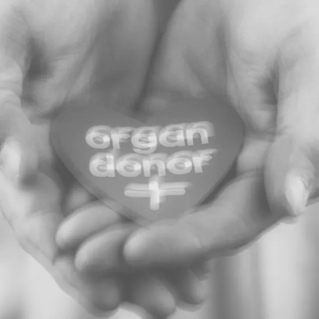 Organ donor