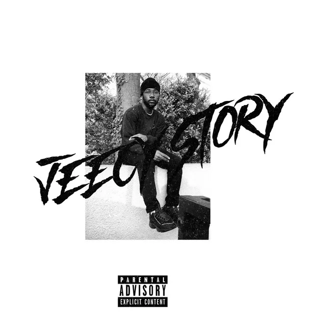 Jeecy Story