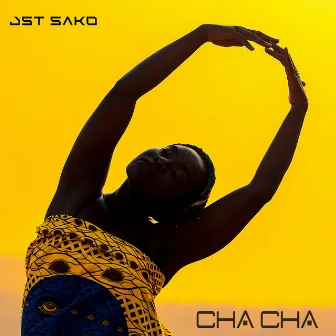 Cha Cha by Jst Sako