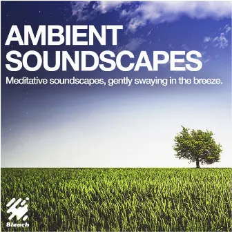 Ambient Soundscapes by Vincent Webb