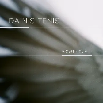 momentum II by Dainis Tenis