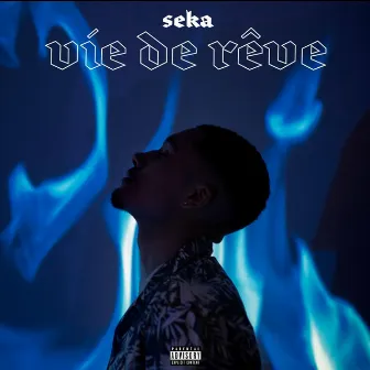 Vie de rêve by Seka