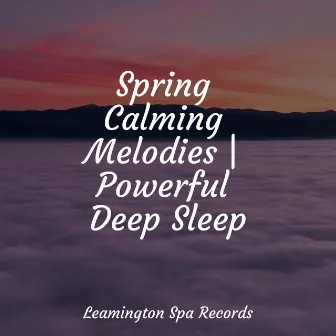 Spring Calming Melodies | Powerful Deep Sleep by Calm Down