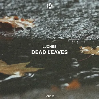 Dead Leaves by Ljones