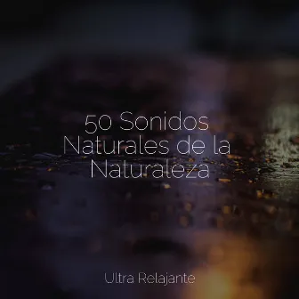 50 Sonidos Naturales de la Naturaleza by Musica Para Dormir