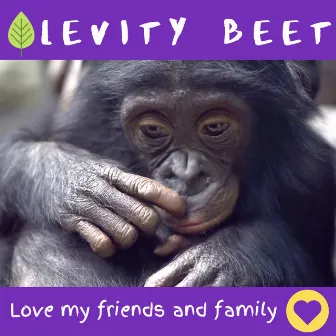 Love My Friends and Family by Levity Beet