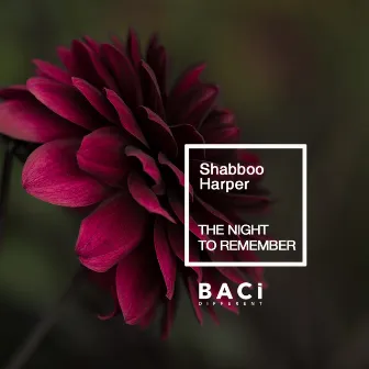 The Night to Remember by Shabboo Harper