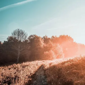 Autumn Sky by Alexander Hoholm