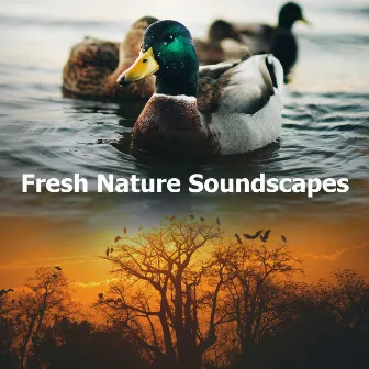 Fresh Nature Soundscapes by Nature Soundscapes