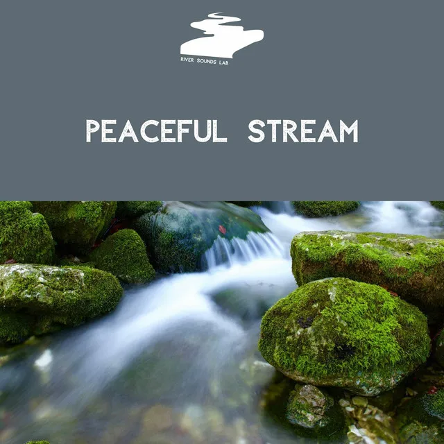 Peaceful Stream