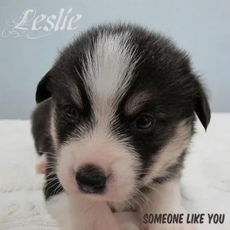 Someone Like You by Leslie